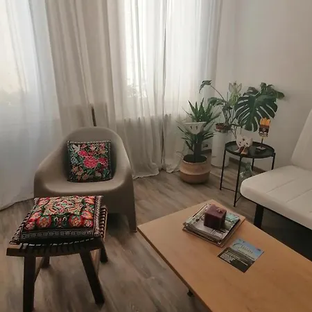 Auximum Guest house