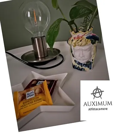 Auximum Guest house